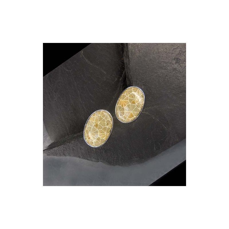 Fossile Koralle Ohrstecker