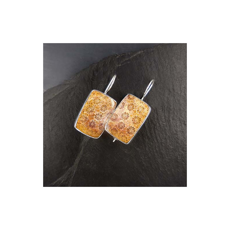 Fossile Koralle Ohrringe Eckig