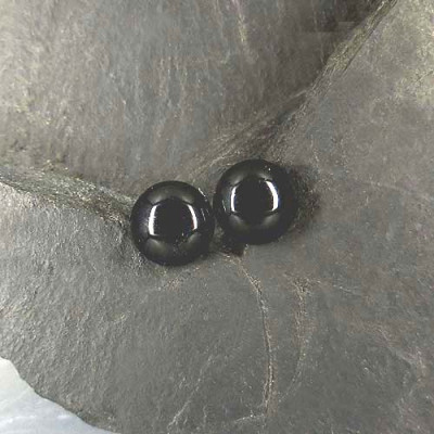 Onyx Ohrstecker Rund