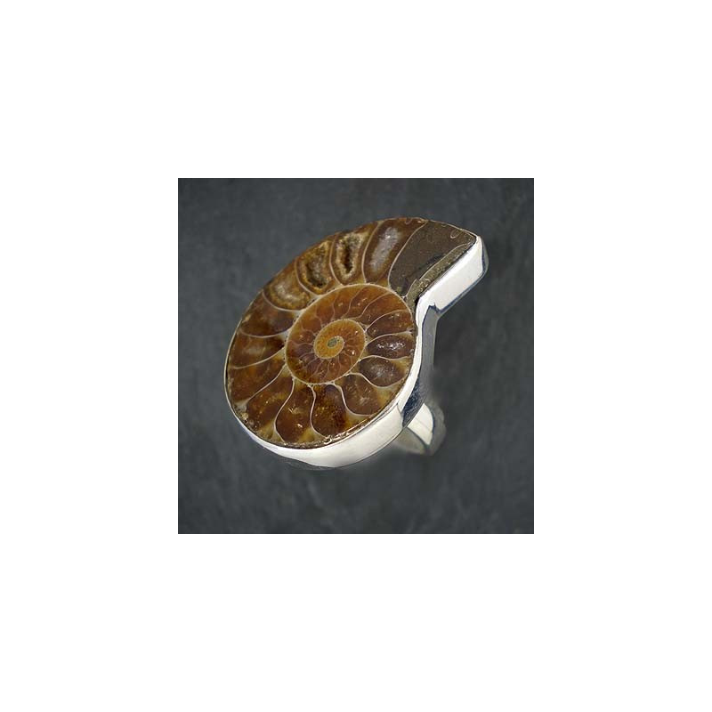Ammonit Ring